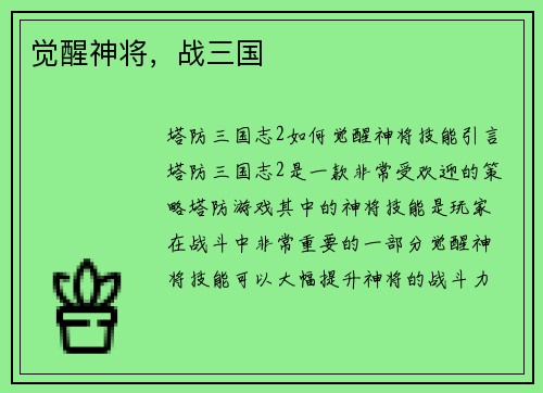 觉醒神将，战三国